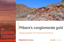 The Pilbara's Conglomerate Gold